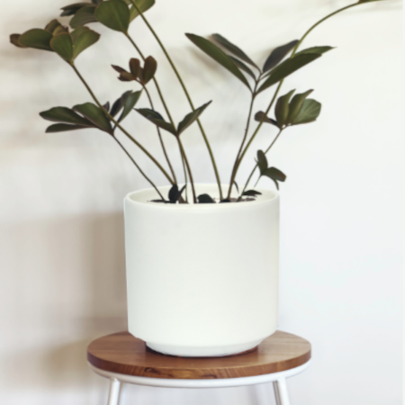 Picture for category Ceramic Planters