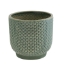 Picture of Indi - Ceramic Planter
