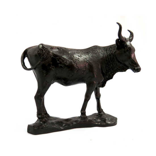 Picture of Nguni Cow - Black